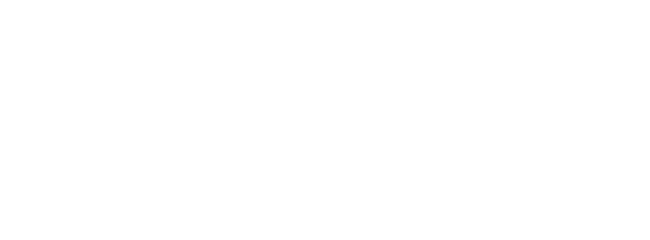 Dimea Logo Blanc